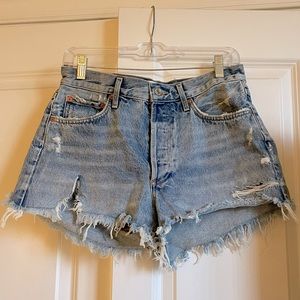 Agolde Parker Vintage Cut Off Shorts